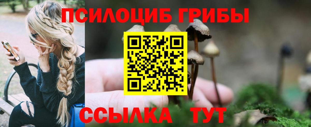 Галлюциногенные грибы ЛСД Киселёвск