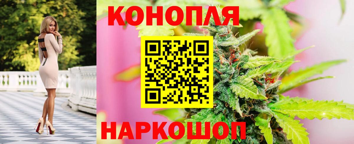 Бошки Шишки Киселёвск